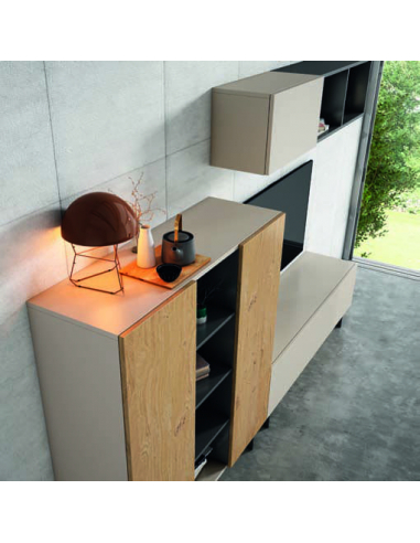 Composición de salón IR031