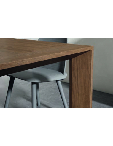 Mesa de comedor COP01