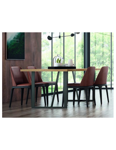 Mesa de comedor COM11