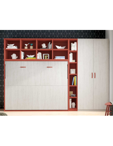 Estantería sobre cama abatible 42