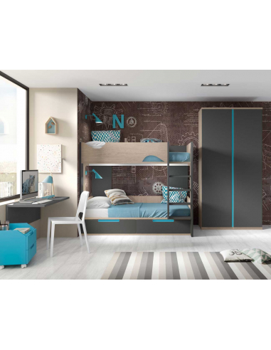 Litera bicolor con formas y baules