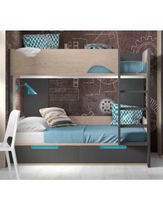 Litera bicolor con formas y...