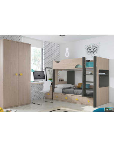 Litera bicolor con formas y contenedores