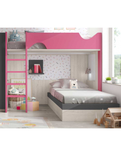 Litera bicolor con formas