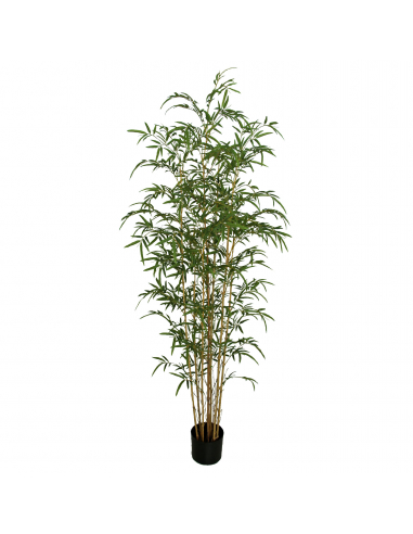 Planta bambú 165 cm