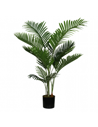 Planta kentia 140 cm