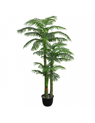 Árbol kentia 250 cm