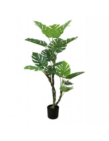 Planta Split Philo 140 cm
