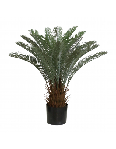 Planta Zica 65 cm