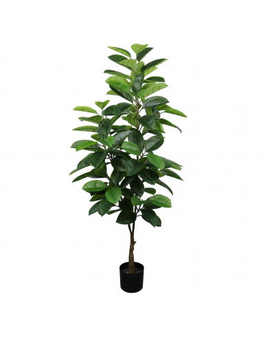 Planta ficus 170 cm