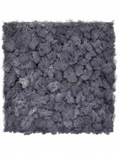 Jardín vertical musgo...