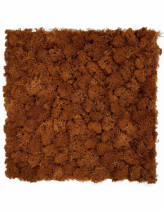 Jardín vertical musgo...