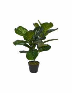 Planta artificial Ficus...