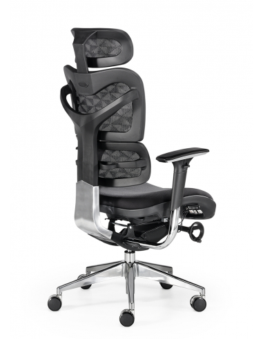 Silla de oficina NEW ERGOSTONE Silla de oficina NEW ERGOSTONE