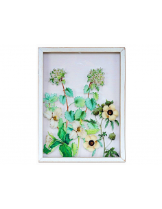 Lámina flores colores