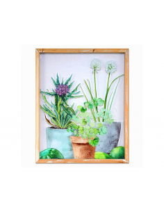 Lámina plantas colores