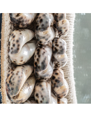 Espejo Caracolas Natural