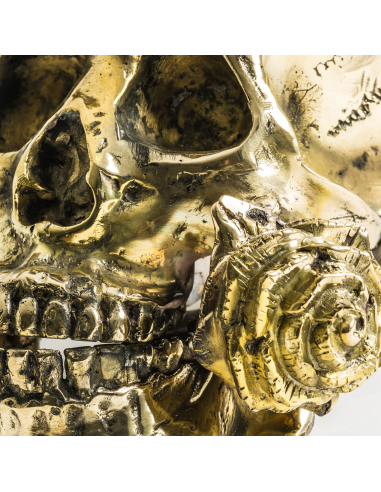 Busto Calavera Corona