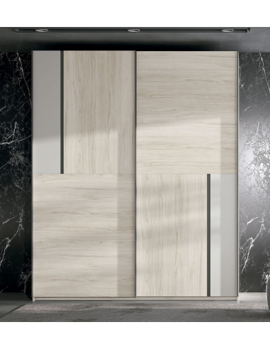 Armario 2 puertas correderas colgadas...