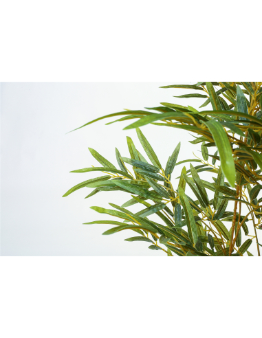 Planta bambú 98 cm