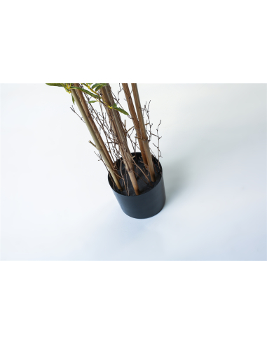 Planta bambú 165 cm