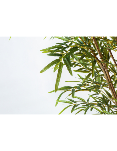 Planta bambú 165 cm
