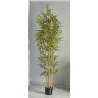 Planta bambú 220 cm | Kasas Decoración