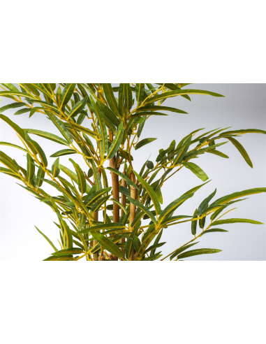Planta bambú 220 cm Planta bambú 220 cm