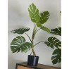 Planta Split Philo 85 cm | Kasas Decoración