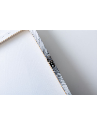 Lienzo impr. palmera 60x120 cms. s/3