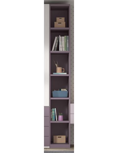 Armario juvenil estantes color