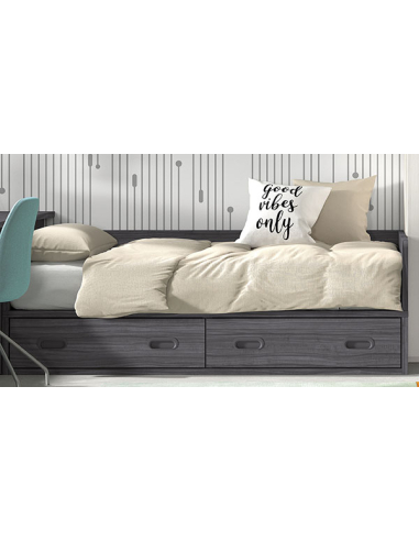 Compacto con módulo dos baúles