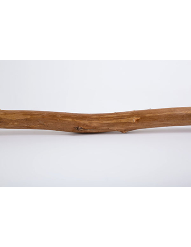 Set de 4 ramas teca natural