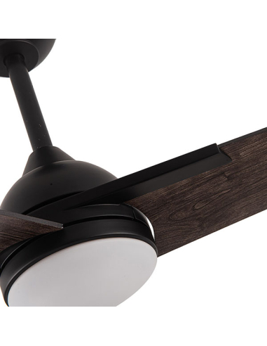 Ventilador DC Argestes Negro 3 aspas...