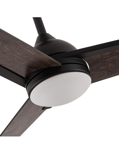 Ventilador DC Argestes Negro 3 aspas...