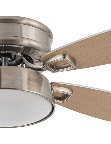 Ventilador DC Braw Niquel 5 aspas...