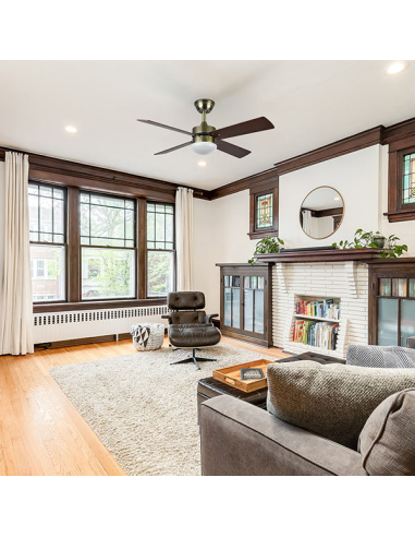 Ventilador DC Sofia Cuero 4 aspas...