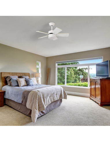 Ventilador DC Marta 5 aspas...