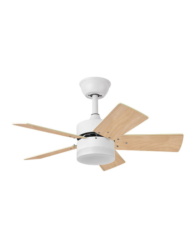 Ventilador DC Marta 5 aspas...