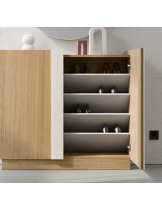 Mueble Zapatero dos puertas... 2