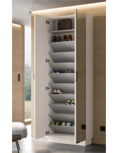 Mueble Zapatero alto dos puertas...