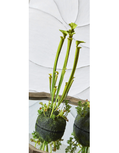 Planta artificial... 2