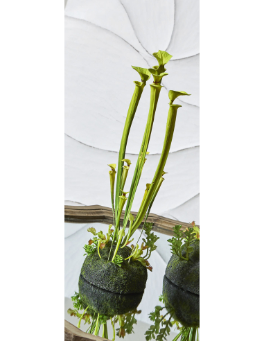 Planta artificial Sarracenia verde... Planta artificial Sarracenia verde...