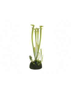Planta artificial...