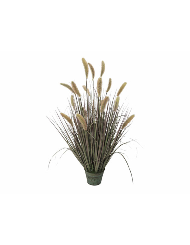 Hierba artificial Cola de zorro tonos...