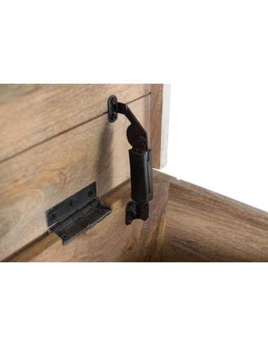 Baúl Guamira estilo hindú blanco gastado Baúl Guamira estilo hindú blanco gastado