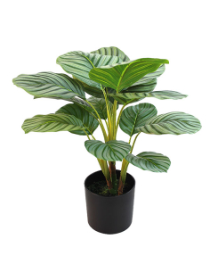 Planta artificial calathea...