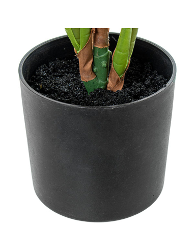 Planta artificial calathea 50cm con 4...