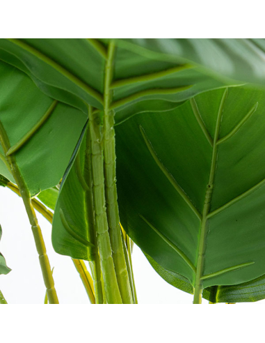 Planta artificial calathea 50cm con 4...