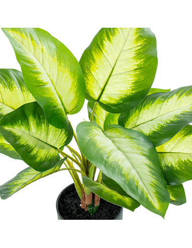 Planta artificial aglaonema 50cm con...